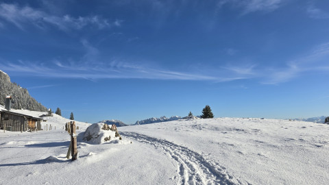 2024-12-05-AV-Bruennstein-43