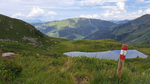 2024-08-01-AV-Schafsiedel-43