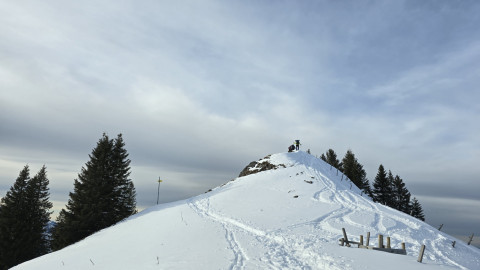 2025-01-30-AV-Stolzenberg-Bodenschneid-13