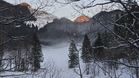 2025-01-30-AV-Stolzenberg-Bodenschneid-18