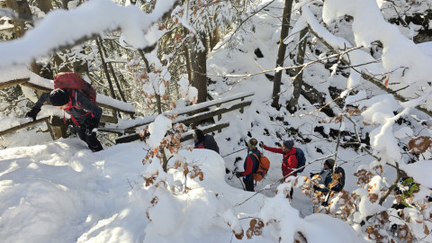 2024-12-12-AV-Teufelsgasse-Prostkoegerl-23