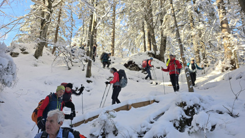 2024-12-12-AV-Teufelsgasse-Prostkoegerl-26