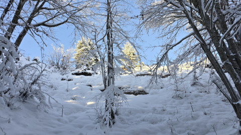 2024-12-12-AV-Teufelsgasse-Prostkoegerl-31