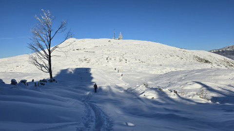 2024-12-12-AV-Teufelsgasse-Prostkoegerl-33