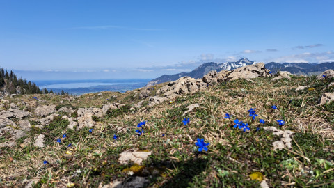 2024.04.11-Do-Walmberg-Wetterkreuz-10